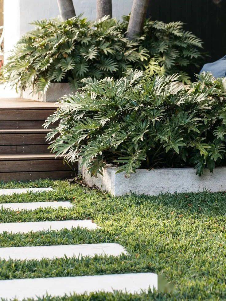 小小的汀步,让你的庭院整体观感加分_自然_园林_空间