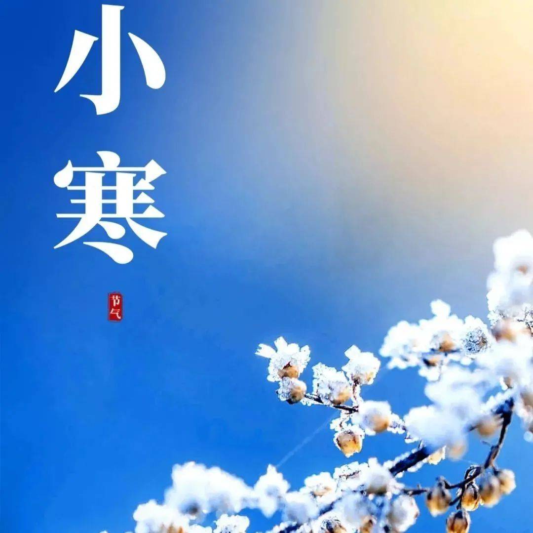 小寒：天寒飘雪，唯愿君安_朋友_冬日_父母