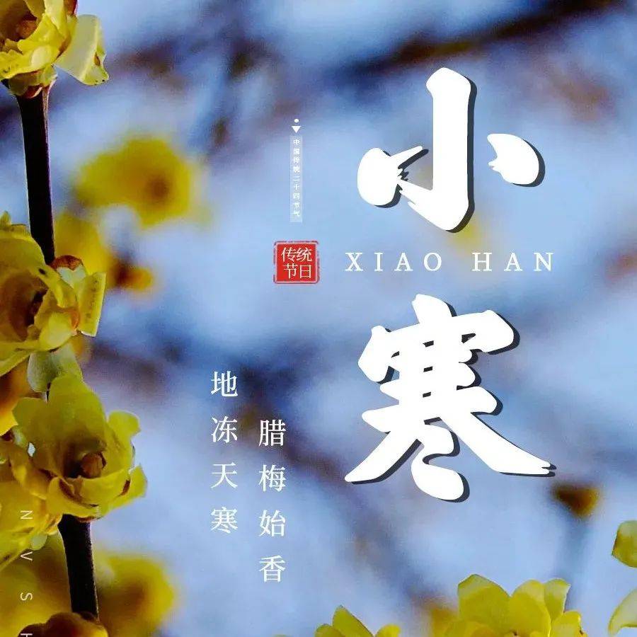 小寒 | 地冻天寒，腊梅始香_节气_时节_寒为