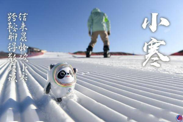 海报|冰墩墩打卡二十四节气·小寒