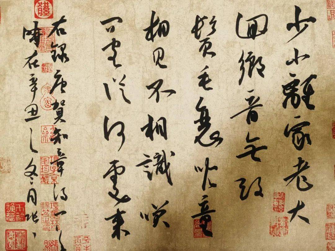 书画双绝——甘肃青年书画家张一先生_书法_代表作品_画展