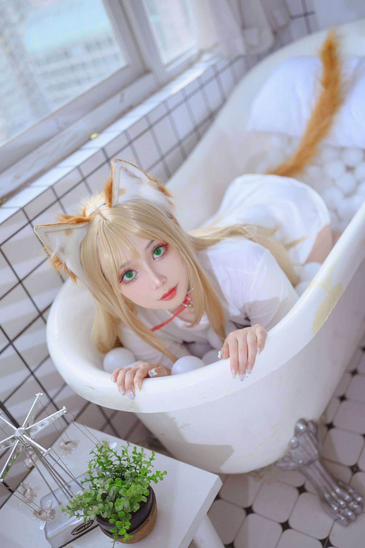 图片|黄豆粉猫娘cosplay