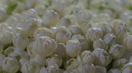 牙膏|表白一万遍都不够！“王老吉牙膏”来了！怕上火刷王老吉！