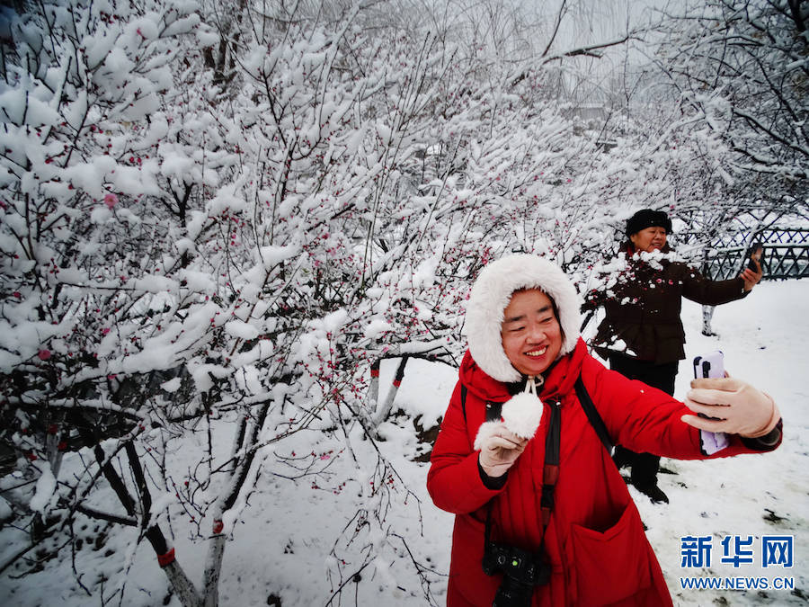 雪景|雪后汴京 景色迷人