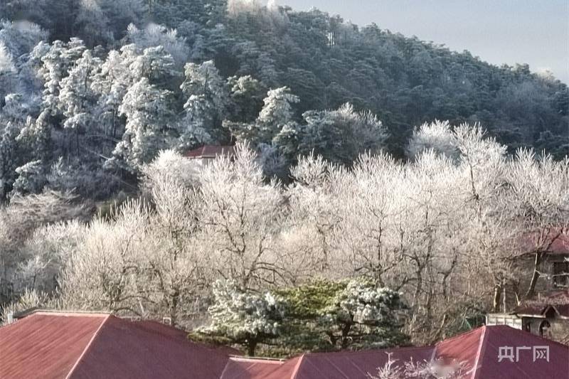 庐山|冬韵美！庐山现瀑布云雾凇景观