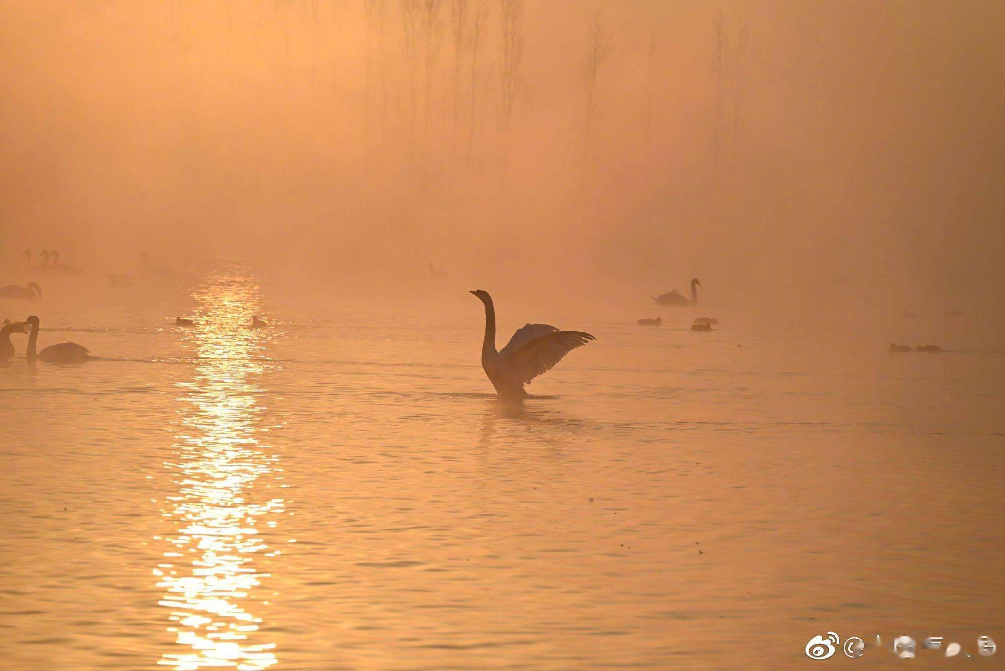 新疆伊犁哈萨克自治州伊宁县天鹅湖宛如仙境