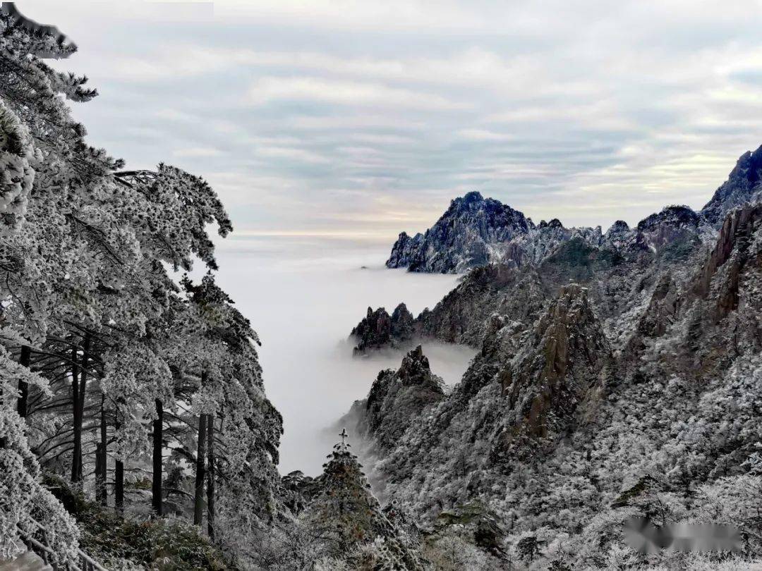 黃山風景區迎來2022年首場降雪_雲海_遊人_山巔