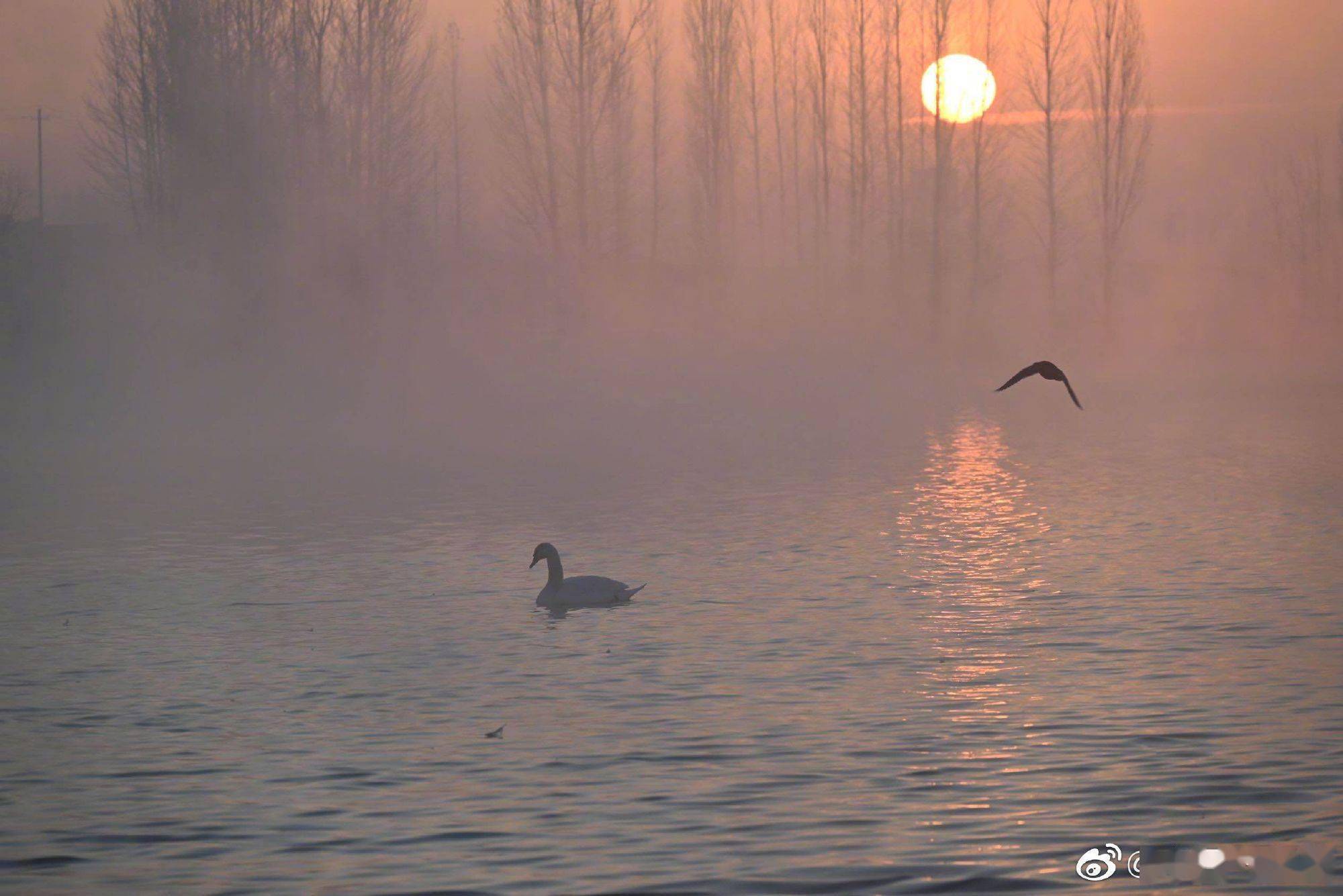 新疆伊犁哈萨克自治州伊宁县天鹅湖宛如仙境