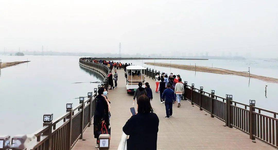 "网红浮桥"助力采煤塌陷区变身省级重点旅游目的地_建设_文化_磁县
