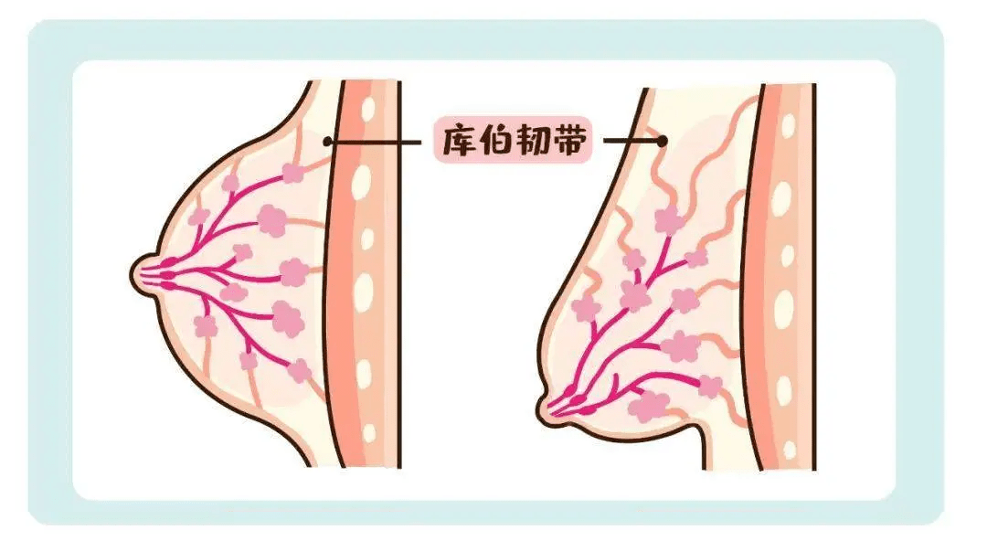 ru绝绝子！穿上这内衣，不垂不垮，圆润又挺拔，气质瞬间翻100倍！