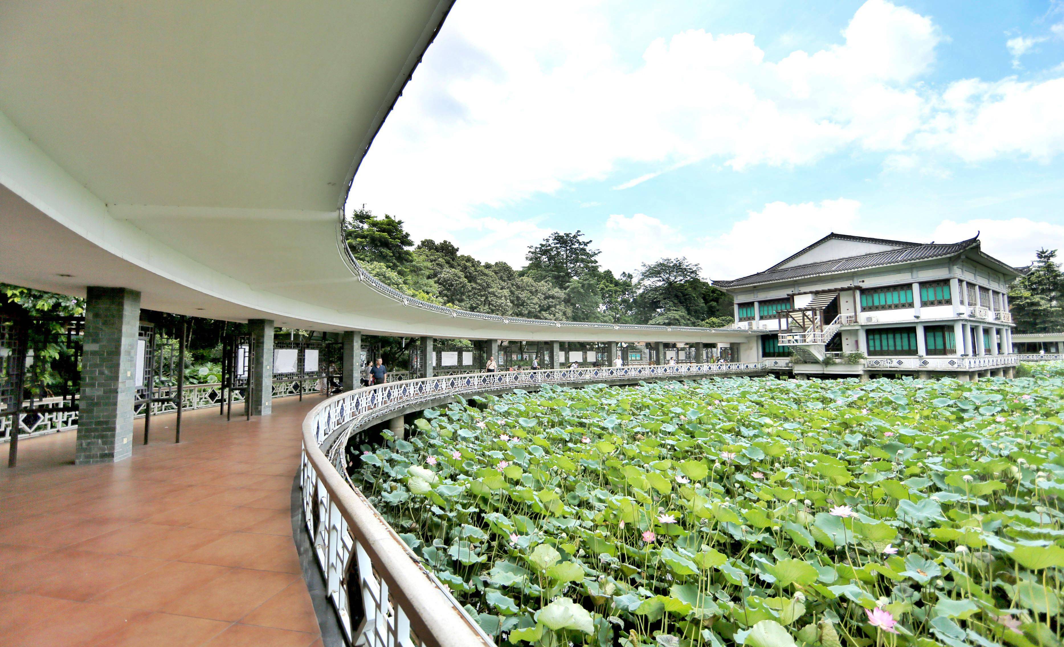 读懂广州解密海山仙馆刻印几何原本万木草堂藏书迷住学子