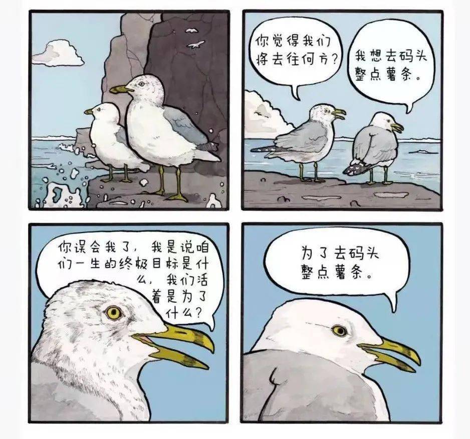 为什么所有海鸥都想去码头整点薯条