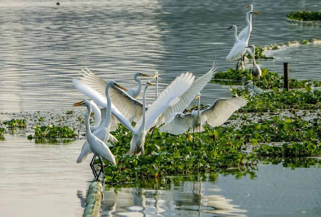 亮啦车谷打造245公里流光溢彩滨湖画卷