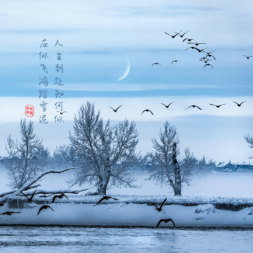 一蓑烟雨任平生美图图片