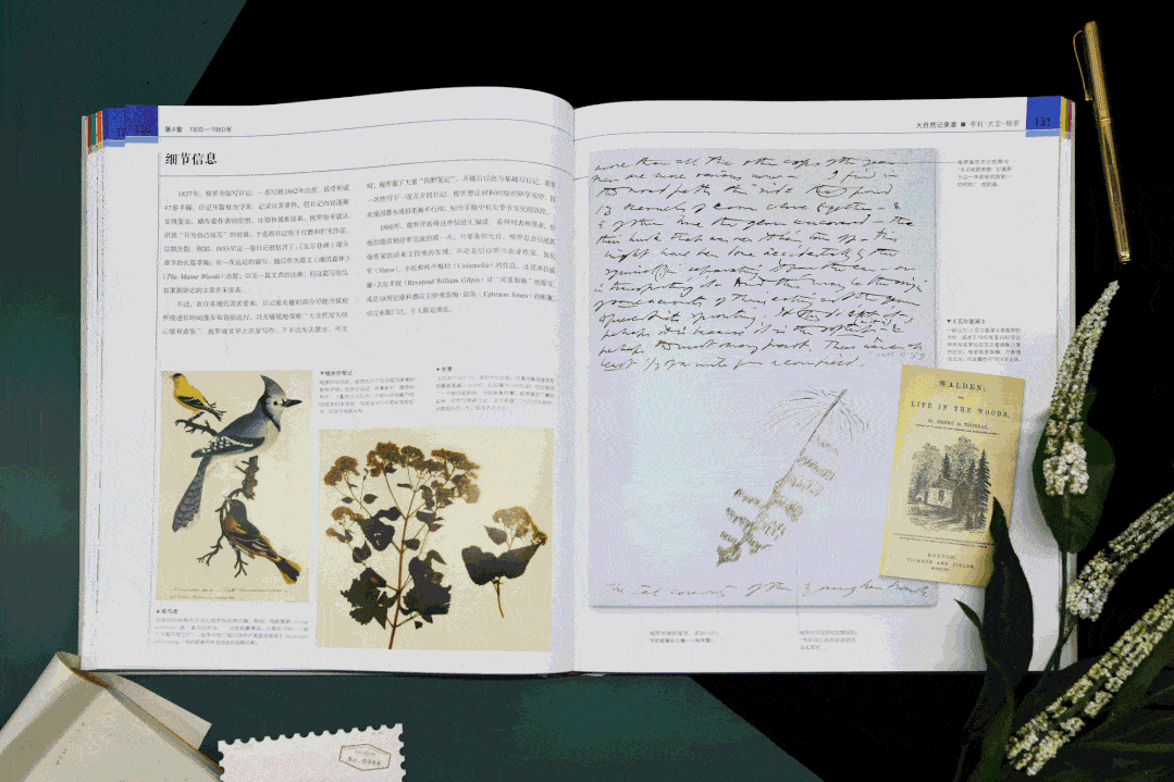 dk经典三部曲Ⅱ