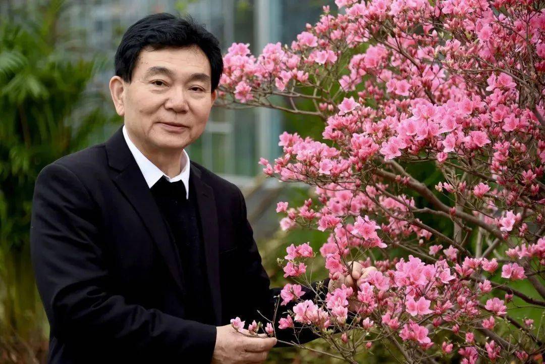 学术声音丨王琛瑶张启翔罗乐中国古代玫瑰含义考