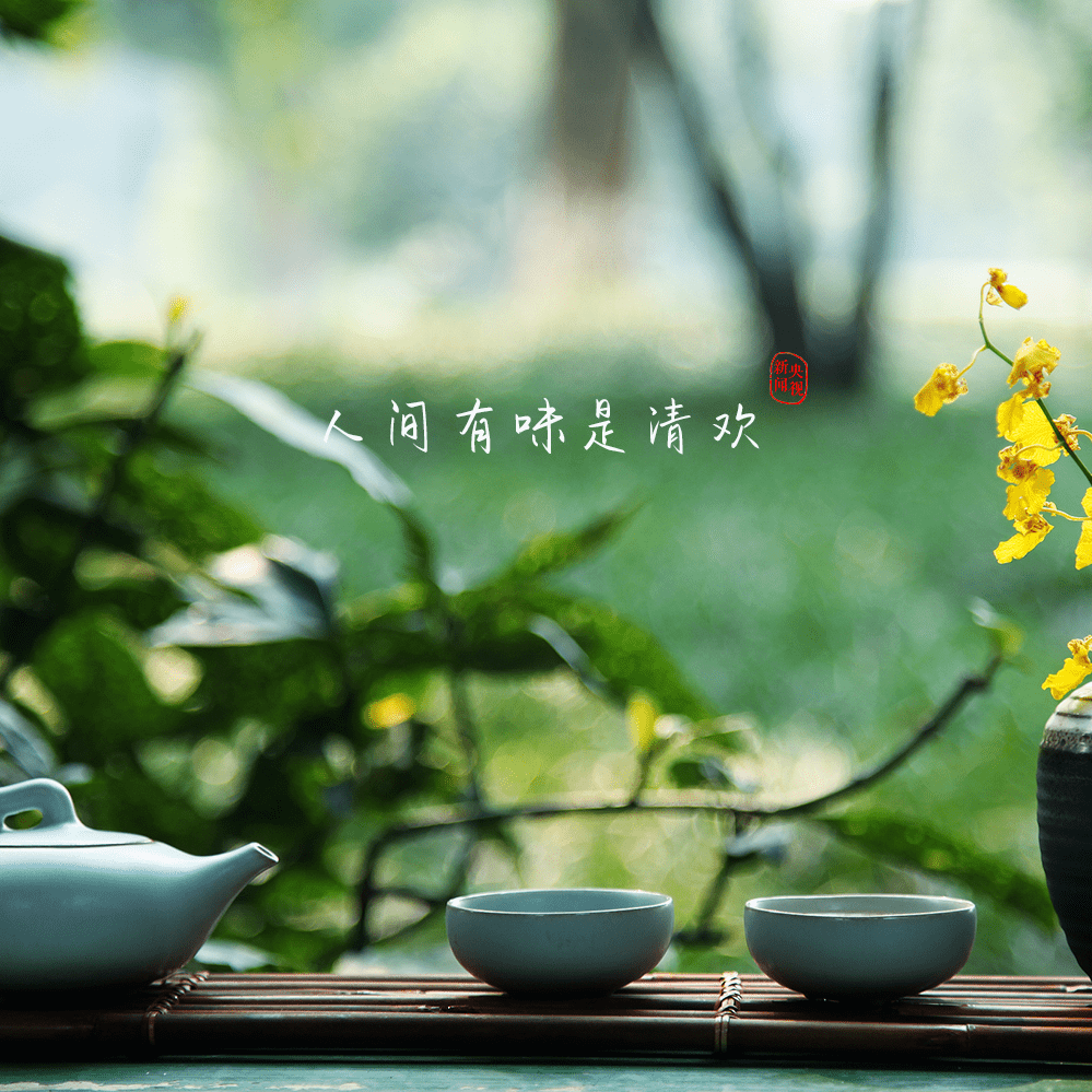 烟雨任|苏东坡，生辰快乐！