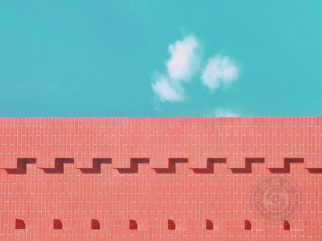 手机照样出大片！2022苹果手机（IPPA）摄影大赛启动