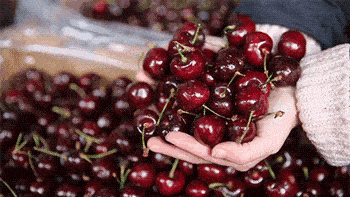 8aeba16283b74fb0be3d42ac47927559.gif