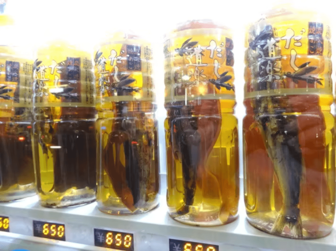 投币口|日本人做个自动售货机，竟不卖饮料卖爱情！