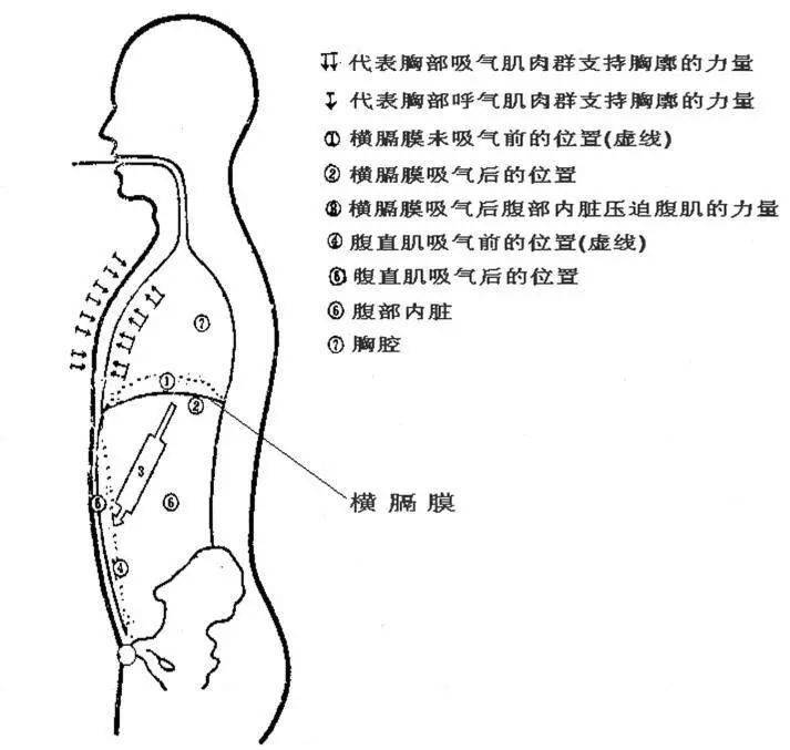 31e2a64f965e485da1c7f1c21b47f371.jpeg