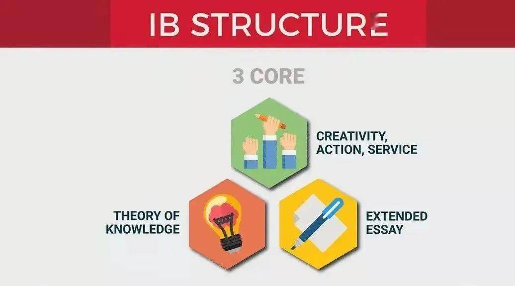 上海|上海 IB 国际学校大盘点，到底哪所国际学校更强？