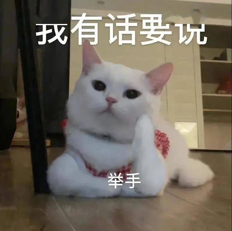 c48da1328ac84b89ba84f1d090eb84a0.jpeg