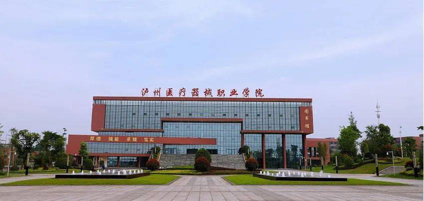 什么是高等职业学校 e7344e3e48e64fe59743116d1fb4a5a6.jpeg