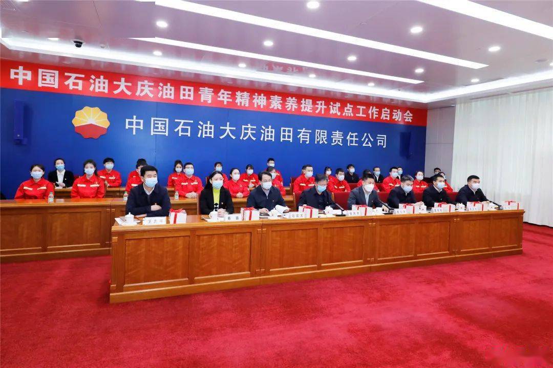 大庆油田_工作_张凤民