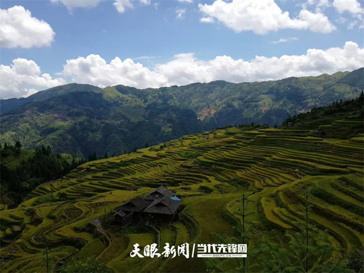 山河|贵州持续打造国家级“生态名片” 饱蘸绿意绘山河