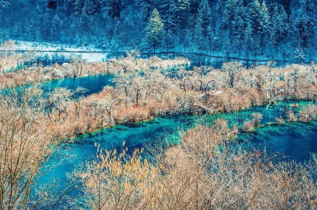 冬天来九寨沟,会被这里的雪景给折服.都不及亲自来一趟,一睹人间胜境.