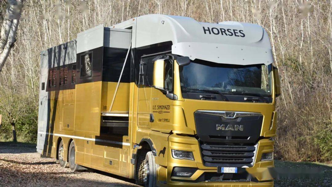 汗血宝马的豪华座驾基于曼恩全新tgx26470打造的马匹运输车