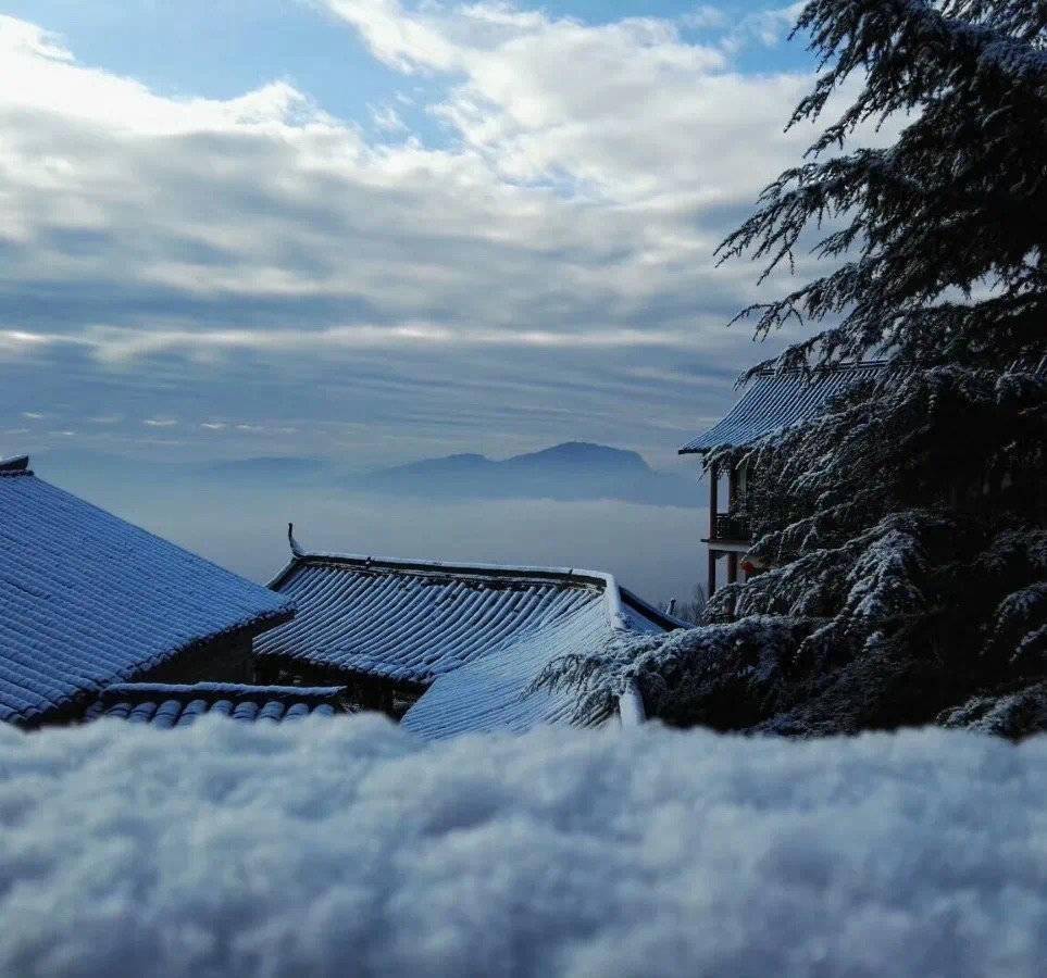 雅安蒙顶山景区新年派虎福送3000张门票请大家免费游蒙顶丨冬游四川上