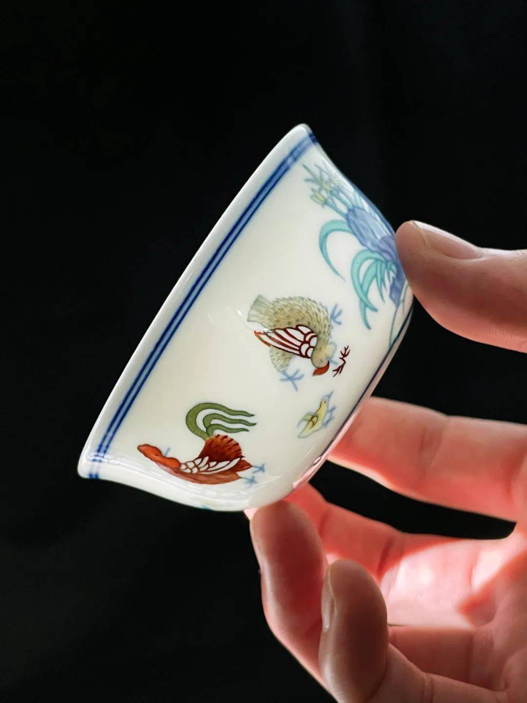 �����ı��ӣ��������ܷ���