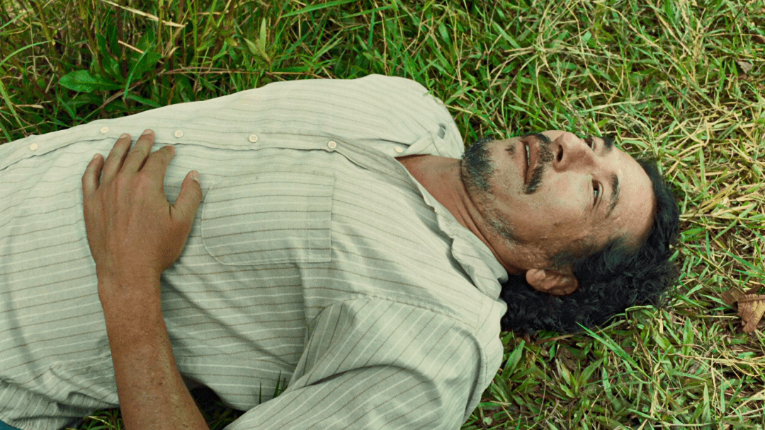 佳作|这部古怪异常的电影,却是不可多得的佳作!