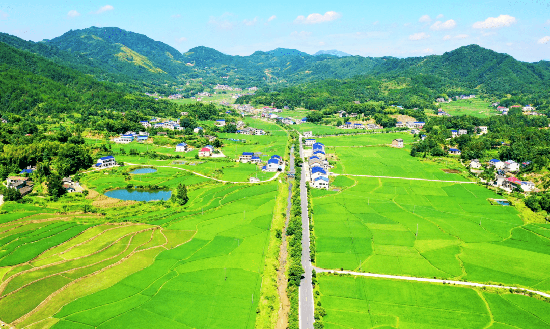 【换个角度看宁乡】这个小村庄,不声不响美了四季~_田野_大地_照片