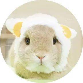 预见2022 | 冲破云网边界，算力网络将走入“深水区”