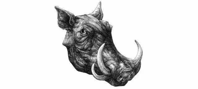 速写 | 素描 | 插画 | 漫画 | 水彩 | 彩铅 | 色粉 | 禅绕画钢笔画