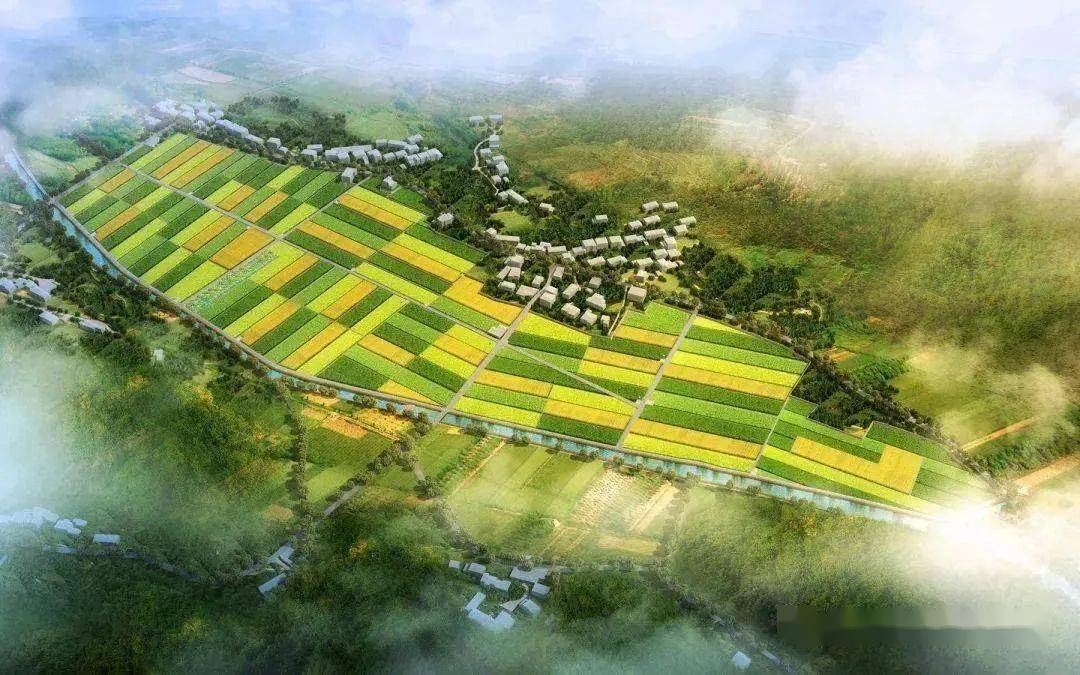 加强高标准农田建设 端牢中国饭碗_耕地_农业_质量