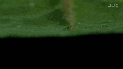 回归又是9.9！全球「第一美」，夸就完了！