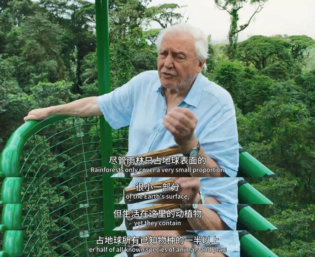 回归又是9.9！全球「第一美」，夸就完了！