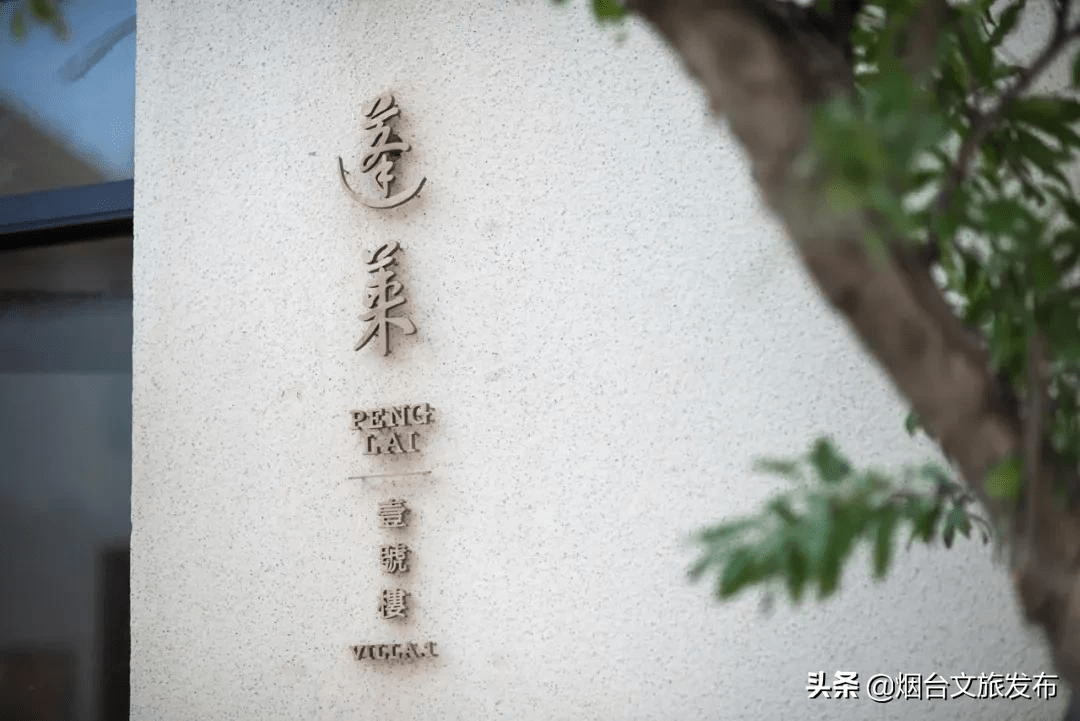 海鸥|海鸥、大海，来一场浪漫的邂逅吧！一起走进仙境蓬莱贺年会——滨海鸥遇蓝色游?