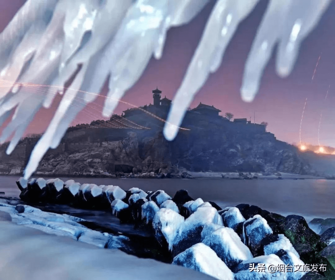 海鸥|海鸥、大海，来一场浪漫的邂逅吧！一起走进仙境蓬莱贺年会——滨海鸥遇蓝色游?