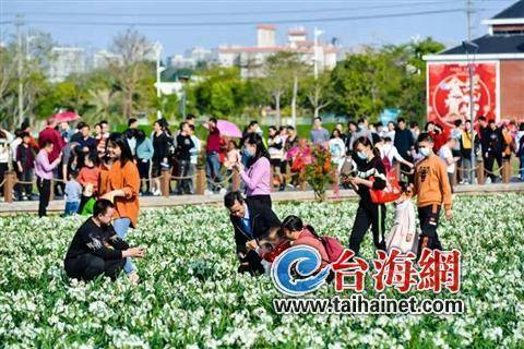 稻草人|相约水仙花海，看稻田里的“奇幻世界”