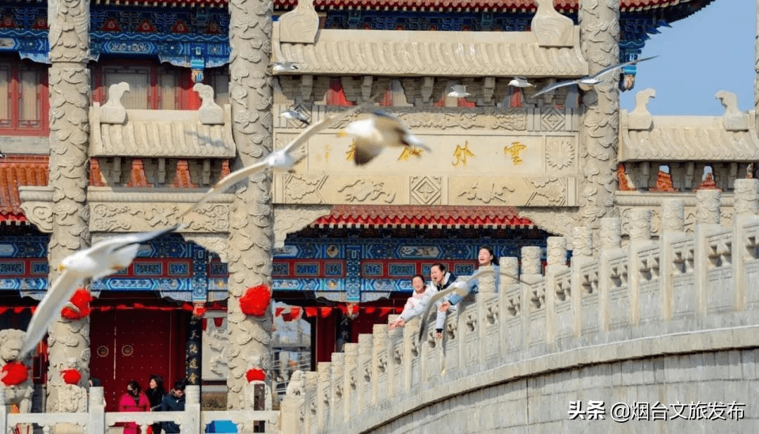 海鸥|海鸥、大海，来一场浪漫的邂逅吧！一起走进仙境蓬莱贺年会——滨海鸥遇蓝色游?