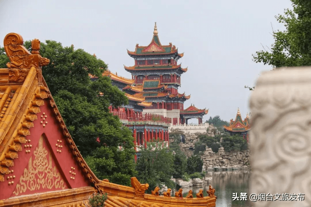 海鸥|海鸥、大海，来一场浪漫的邂逅吧！一起走进仙境蓬莱贺年会——滨海鸥遇蓝色游?