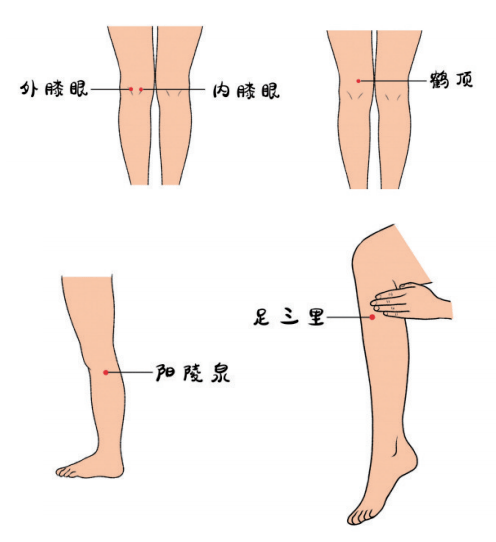 阳陵泉和足三里的距离图片