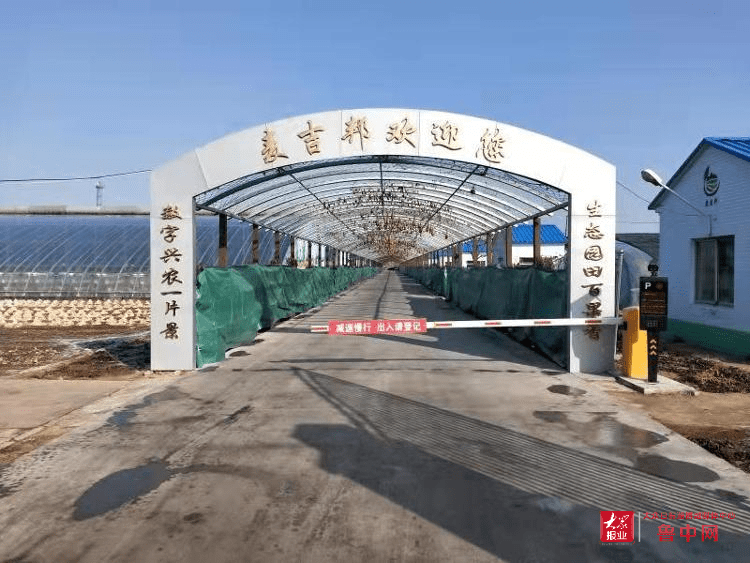 劳动实践有去处,数字园田百果香——桓台县唐山镇中学劳动基地挂牌