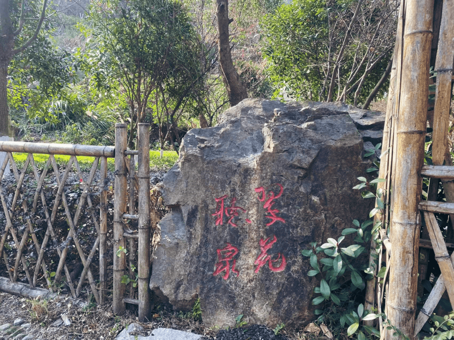 红了!今天,我要去苍南这个公园_梅花_梅峰_金乡