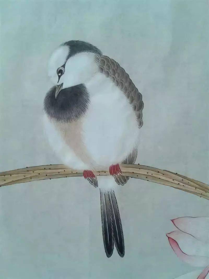 欣赏100幅工笔禽鸟太美了赶紧收藏